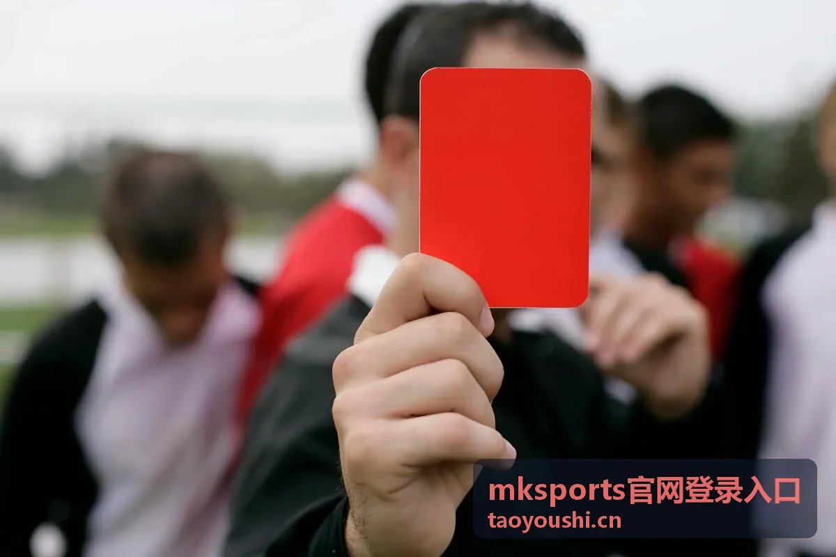 mksports官网登录入口常见验证方式说明配图