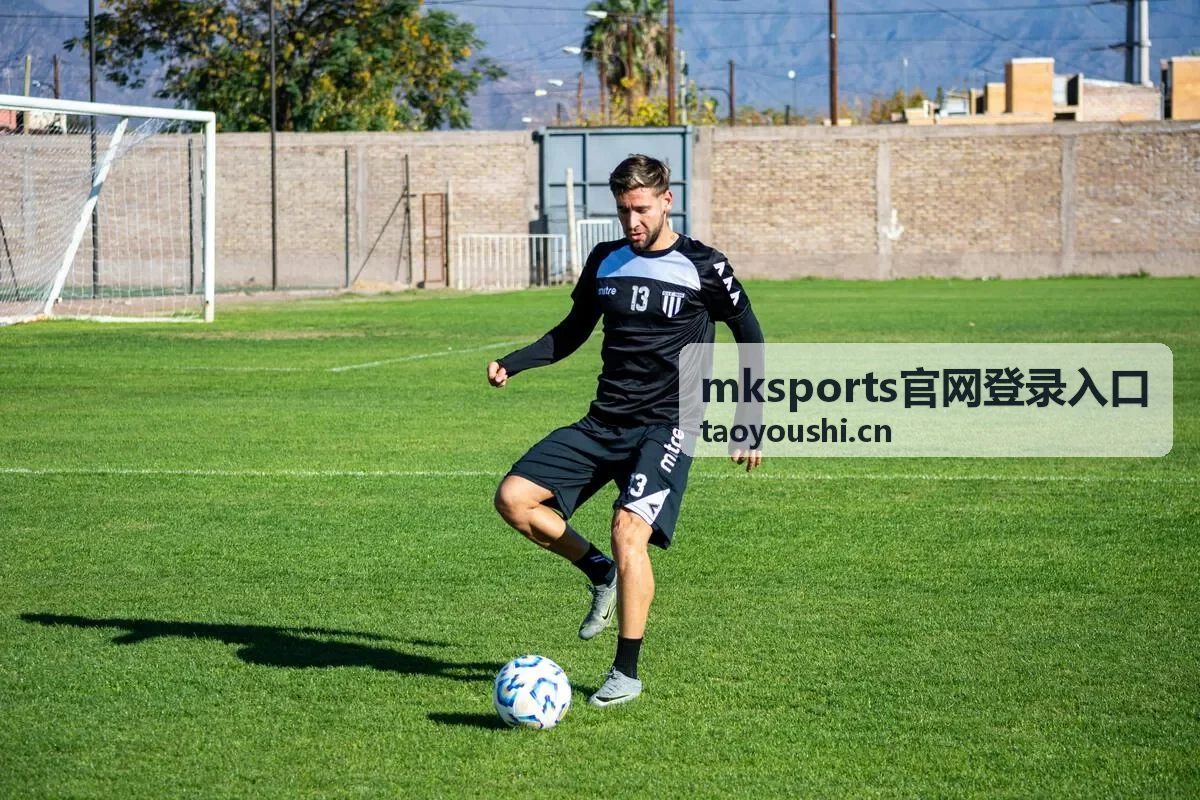 mksports官网登录入口 常见问题与资讯配图