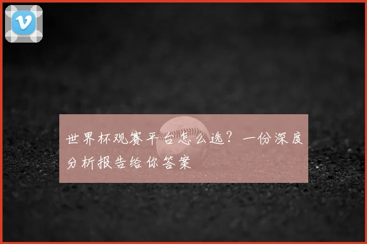 世界杯观赛平台怎么选?一份深度分析报告给你答案