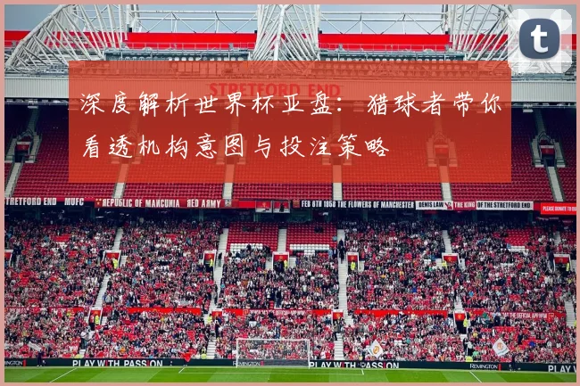 深度解析世界杯亚盘：猎球者带你看透机构意图与投注策略