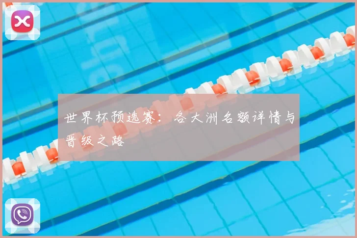 世界杯预选赛:各大洲名额详情与晋级之路
