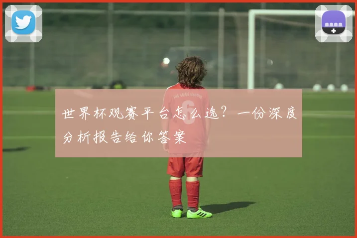 世界杯观赛平台怎么选?一份深度分析报告给你答案