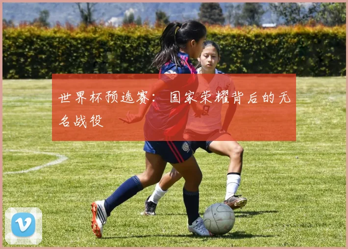 世界杯预选赛:国家荣耀背后的无名战役