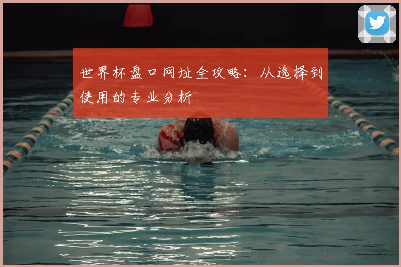 世界杯盘口网址全攻略:从选择到使用的专业分析