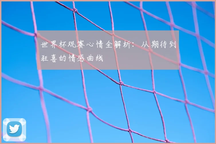 世界杯观赛心情全解析:从期待到狂喜的情感曲线