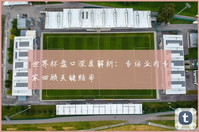 世界杯盘口深度解析:专访业内专家回顾关键赔率