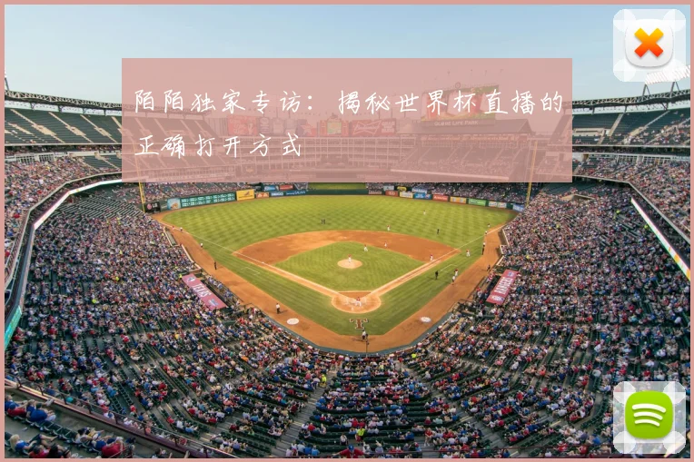 陌陌独家专访：揭秘世界杯直播的正确打开方式
