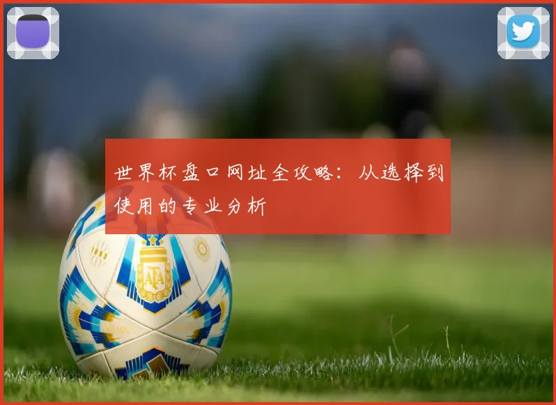世界杯盘口网址全攻略:从选择到使用的专业分析