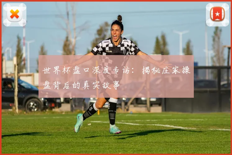 世界杯盘口深度专访:揭秘庄家操盘背后的真实故事